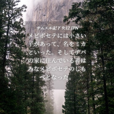 Picture 04 - サムエル記下 9:12 JPN - メピボセテには小さい子があって、 - Bible Verse Picture