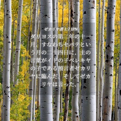 Picture 04 - ゼカリヤ書 1:7 JPN - ダリヨスの第二年の十一月、すなわ - Bible Verse Picture
