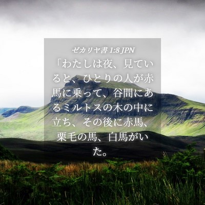 Picture 04 - ゼカリヤ書 1:8 JPN - 「わたしは夜、見ていると、ひとり - Bible Verse Picture