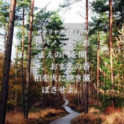Picture 04 - ゼカリヤ書 11:1 JPN - レバノンよ、おまえの門を開き、お - Bible Verse Picture