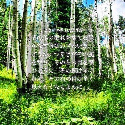 Picture 04 - ゼカリヤ書 11:17 JPN - その羊の群れを捨てる愚かな牧者は - Bible Verse Picture