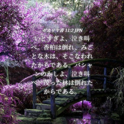 Picture 04 - ゼカリヤ書 11:2 JPN - いとすぎよ、泣き叫べ。香柏は倒れ - Bible Verse Picture