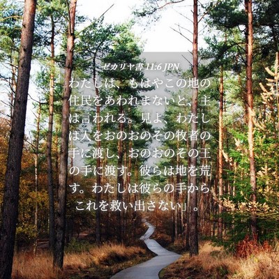 Picture 04 - ゼカリヤ書 11:6 JPN - わたしは、もはやこの地の住民をあ - Bible Verse Picture