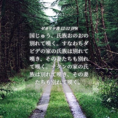 Picture 04 - ゼカリヤ書 12:12 JPN - 国じゅう、氏族おのおの別れて嘆く - Bible Verse Picture