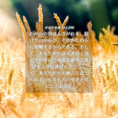 Picture 04 - ゼカリヤ書 14:5 JPN - わが山の谷はふさがれる。裂けた山 - Bible Verse Picture