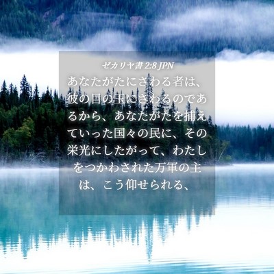 Picture 04 - ゼカリヤ書 2:8 JPN - あなたがたにさわる者は、彼の目の - Bible Verse Picture