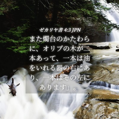 Picture 04 - ゼカリヤ書 4:3 JPN - また燭台のかたわらに、オリブの木 - Bible Verse Picture