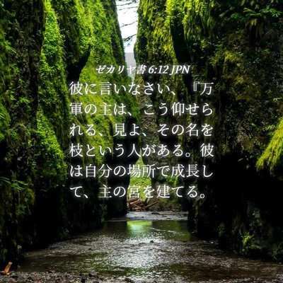 Picture 04 - ゼカリヤ書 6:12 JPN - 彼に言いなさい、『万軍の主は、こ - Bible Verse Picture