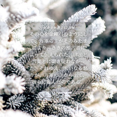 Picture 04 - ゼカリヤ書 7:12 JPN - その心を金剛石のようにして、万軍 - Bible Verse Picture