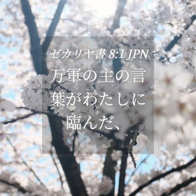 Picture 04 - ゼカリヤ書 8:1 JPN - 万軍の主の言葉がわたしに臨んだ、 - Bible Verse Picture