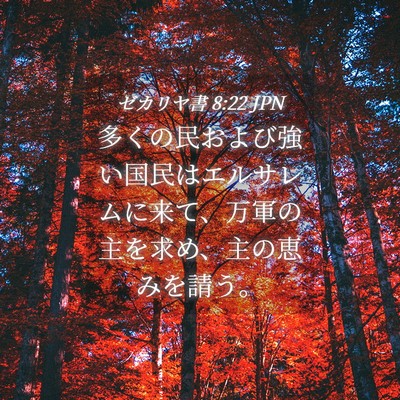 Picture 04 - ゼカリヤ書 8:22 JPN - 多くの民および強い国民はエルサレ - Bible Verse Picture