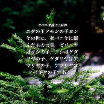 Picture 04 - ゼパニヤ書 1:1 JPN - ユダの王アモンの子ヨシヤの世に、 - Bible Verse Picture