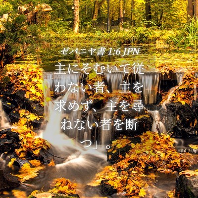 Picture 04 - ゼパニヤ書 1:6 JPN - 主にそむいて従わない者、主を求め - Bible Verse Picture