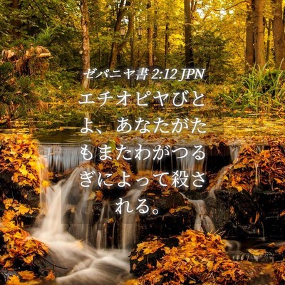 Picture 04 - ゼパニヤ書 2:12 JPN - エチオピヤびとよ、あなたがたもま - Bible Verse Picture