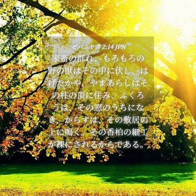 Picture 04 - ゼパニヤ書 2:14 JPN - 家畜の群れ、もろもろの野の獣はそ - Bible Verse Picture