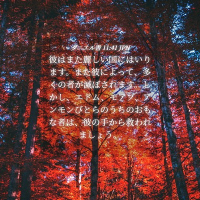 Picture 04 - ダニエル書 11:41 JPN - 彼はまた麗しい国にはいります。ま - Bible Verse Picture