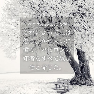 Picture 04 - ダニエル書 2:12 JPN - これによって王は怒り、かつ大いに - Bible Verse Picture