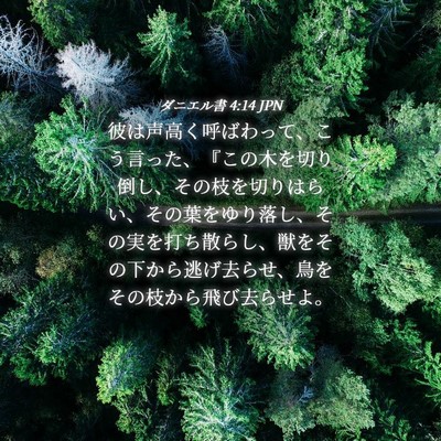 Picture 04 - ダニエル書 4:14 JPN - 彼は声高く呼ばわって、こう言った - Bible Verse Picture
