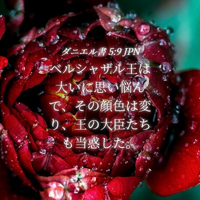 Picture 04 - ダニエル書 5:9 JPN - ベルシャザル王は大いに思い悩んで - Bible Verse Picture
