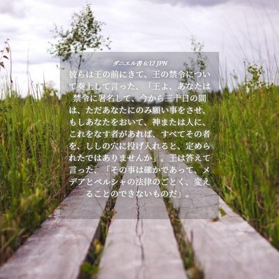 Picture 04 - ダニエル書 6:12 JPN - 彼らは王の前にきて、王の禁令につ - Bible Verse Picture