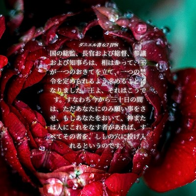 Picture 04 - ダニエル書 6:7 JPN - 国の総監、長官および総督、参議お - Bible Verse Picture