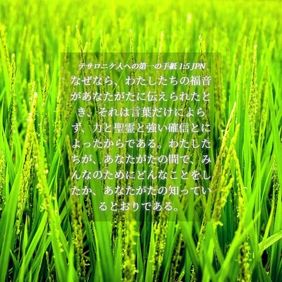 Picture 04 - テサロニケ人への第一の手紙 1:5 JPN - なぜなら、わたしたちの福音があな - Bible Verse Picture