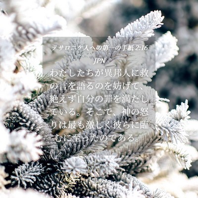 Picture 04 - テサロニケ人への第一の手紙 2:16 JPN - わたしたちが異邦人に救の言を語る - Bible Verse Picture