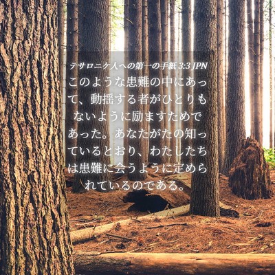 Picture 04 - テサロニケ人への第一の手紙 3:3 JPN - このような患難の中にあって、動揺 - Bible Verse Picture