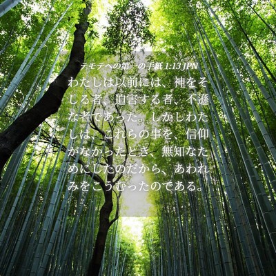 Picture 04 - テモテヘの第一の手紙 1:13 JPN - わたしは以前には、神をそしる者、 - Bible Verse Picture