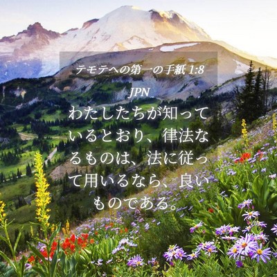 Picture 04 - テモテヘの第一の手紙 1:8 JPN - わたしたちが知っているとおり、律 - Bible Verse Picture