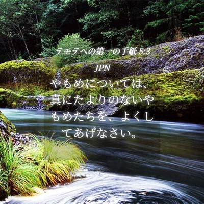 Picture 04 - テモテヘの第一の手紙 5:3 JPN - やもめについては、真にたよりのな - Bible Verse Picture