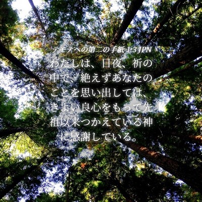 Picture 04 - テモテヘの第二の手紙 1:3 JPN - わたしは、日夜、祈の中で、絶えず - Bible Verse Picture