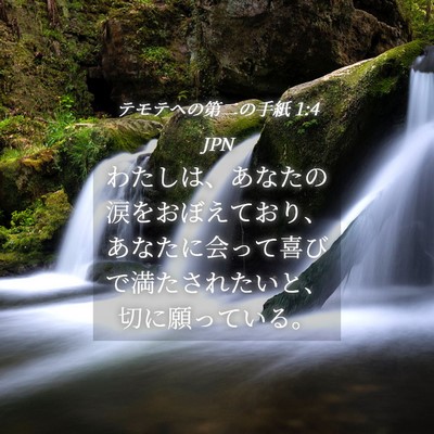 Picture 04 - テモテヘの第二の手紙 1:4 JPN - わたしは、あなたの涙をおぼえてお - Bible Verse Picture