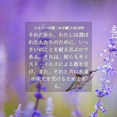 Picture 04 - テモテヘの第二の手紙 2:10 JPN - それだから、わたしは選ばれた人た - Bible Verse Picture
