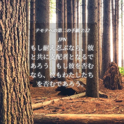 Picture 04 - テモテヘの第二の手紙 2:12 JPN - もし耐え忍ぶなら、彼と共に支配者 - Bible Verse Picture