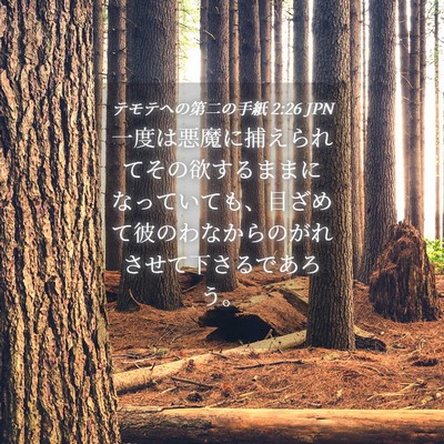 Picture 04 - テモテヘの第二の手紙 2:26 JPN - 一度は悪魔に捕えられてその欲する - Bible Verse Picture