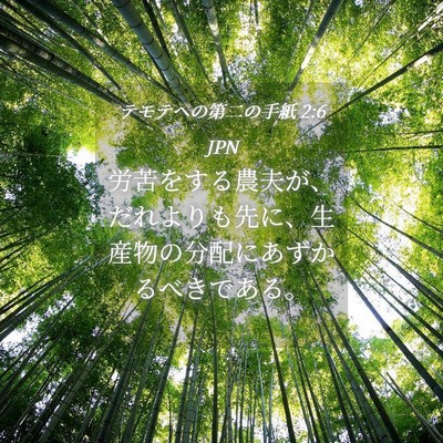 Picture 04 - テモテヘの第二の手紙 2:6 JPN - 労苦をする農夫が、だれよりも先に - Bible Verse Picture