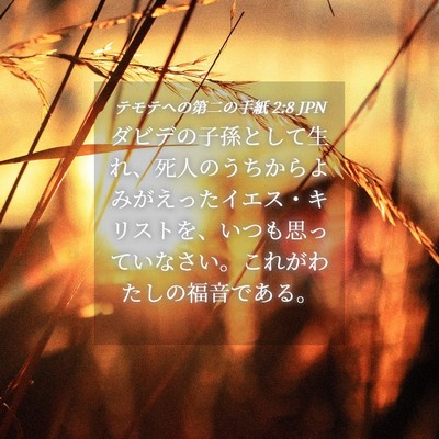 Picture 04 - テモテヘの第二の手紙 2:8 JPN - ダビデの子孫として生れ、死人のう - Bible Verse Picture