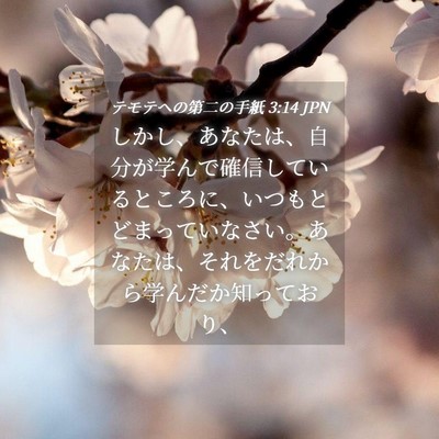 Picture 04 - テモテヘの第二の手紙 3:14 JPN - しかし、あなたは、自分が学んで確 - Bible Verse Picture