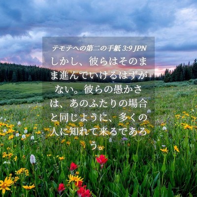 Picture 04 - テモテヘの第二の手紙 3:9 JPN - しかし、彼らはそのまま進んでいけ - Bible Verse Picture