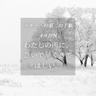 Picture 04 - テモテヘの第二の手紙 4:9 JPN - わたしの所に、急いで早くきてほし - Bible Verse Picture