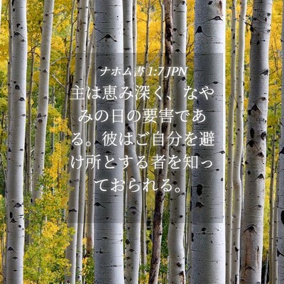 Picture 04 - ナホム書 1:7 JPN - 主は恵み深く、なやみの日の要害で - Bible Verse Picture