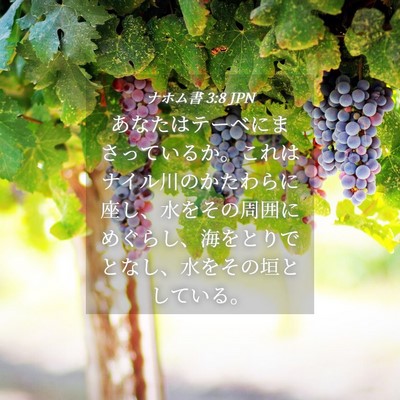 Picture 04 - ナホム書 3:8 JPN - あなたはテーベにまさっているか。 - Bible Verse Picture