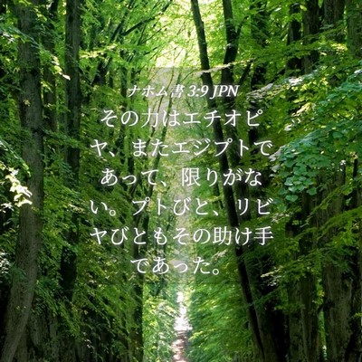 Picture 04 - ナホム書 3:9 JPN - その力はエチオピヤ、またエジプト - Bible Verse Picture