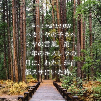 Picture 04 - ネヘミヤ記 1:1 JPN - ハカリヤの子ネヘミヤの言葉。第二 - Bible Verse Picture
