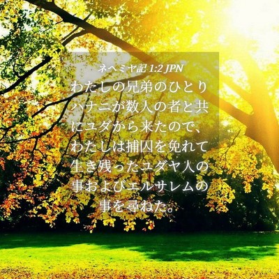 Picture 04 - ネヘミヤ記 1:2 JPN - わたしの兄弟のひとりハナニが数人 - Bible Verse Picture