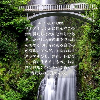 Picture 04 - ネヘミヤ記 11:3 JPN - さてエルサレムに住んだこの州の長 - Bible Verse Picture