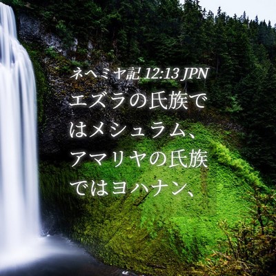 Picture 04 - ネヘミヤ記 12:13 JPN - エズラの氏族ではメシュラム、アマ - Bible Verse Picture