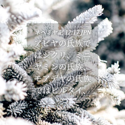 Picture 04 - ネヘミヤ記 12:17 JPN - アビヤの氏族ではジクリ、ミニヤミ - Bible Verse Picture