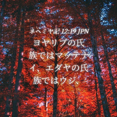 Picture 04 - ネヘミヤ記 12:19 JPN - ヨヤリブの氏族ではマッテナイ、エ - Bible Verse Picture